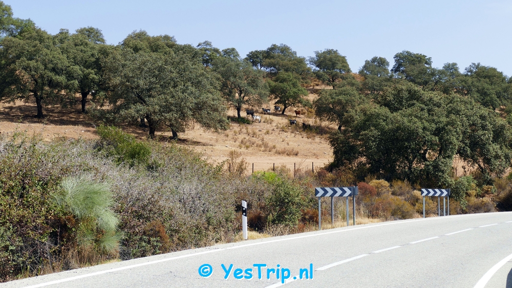 xxx El Ronquillo to Castilblanco de los Arroyos, Spain xxx